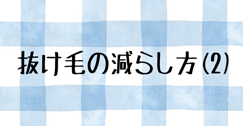抜け毛 (2)